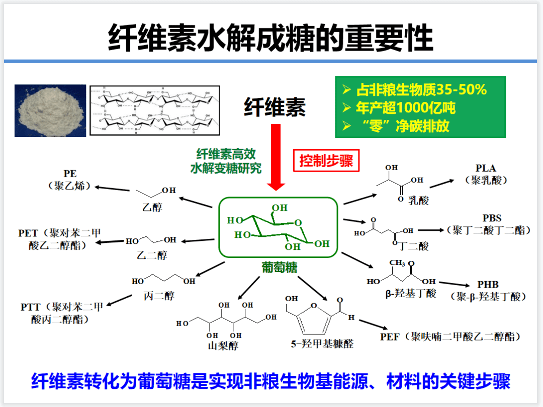 纖維素變糖的時代意義,技術難點和創新方法_催化劑_固體_生物