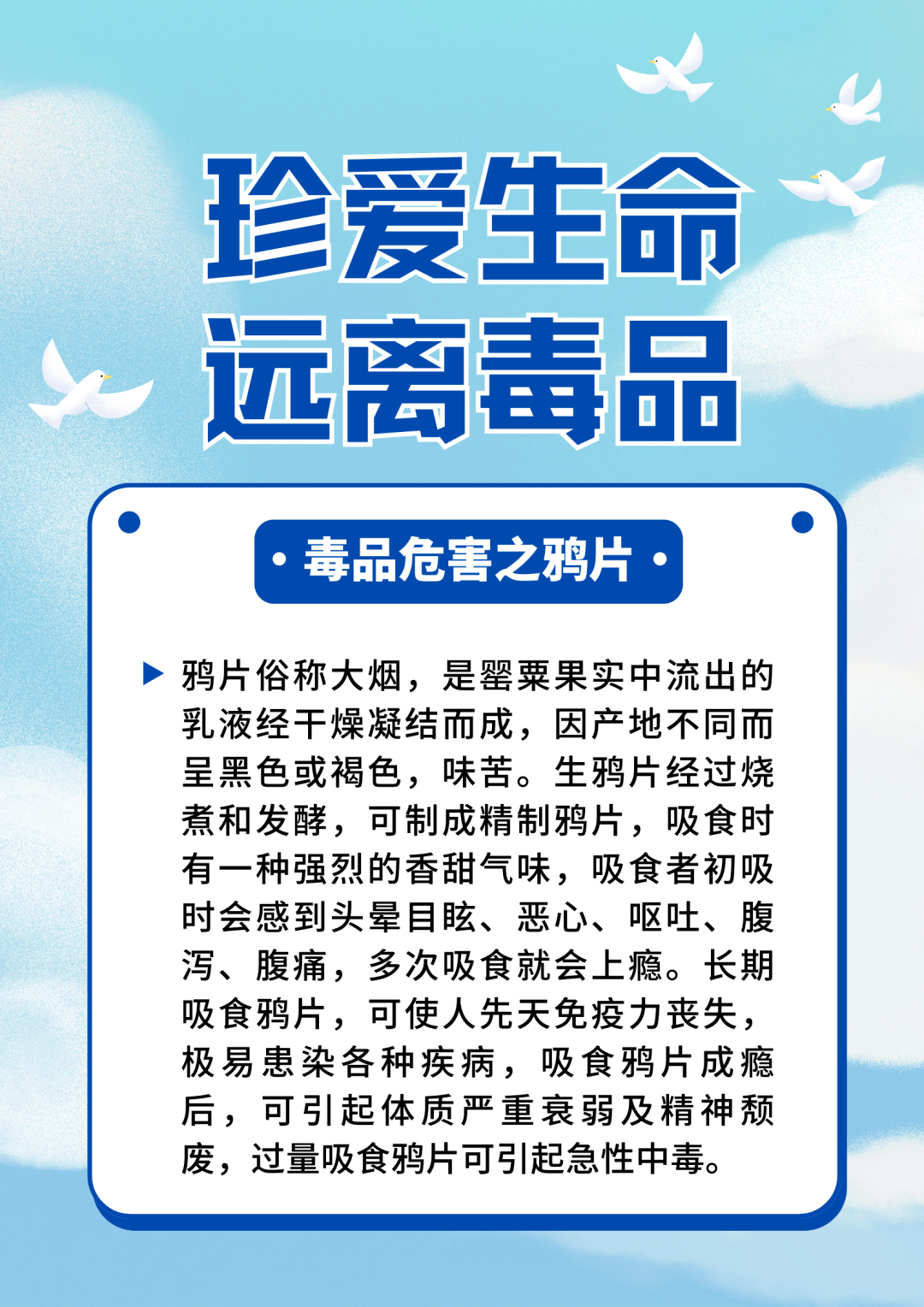 禁毒宣传月丨毒品危害知多少_张晓磊_审核_臧丽华