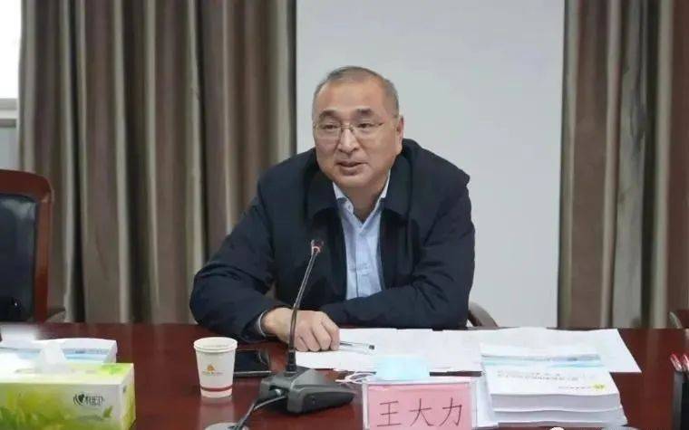 王大力已任华阳集团总经理_山西_阳泉_重点