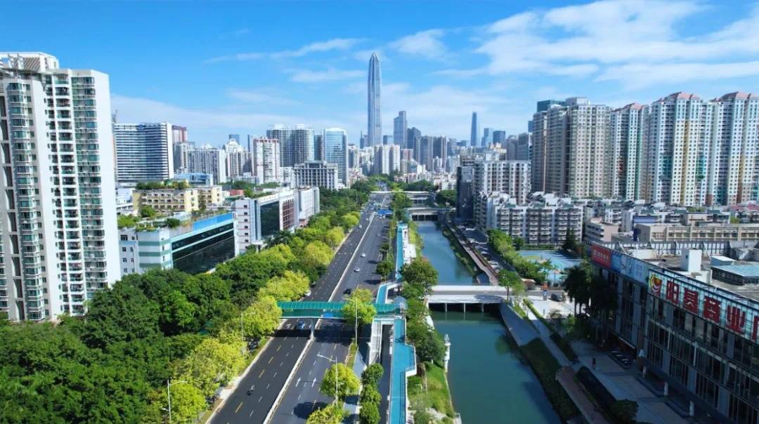 福田新洲河能赛龙舟?明天见!_水质_生态_树碧道
