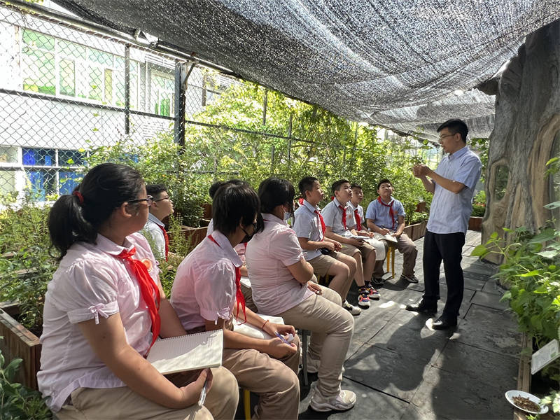 西安市新城区新知小学举行中医药文化推广共建实践基地学校授牌仪式