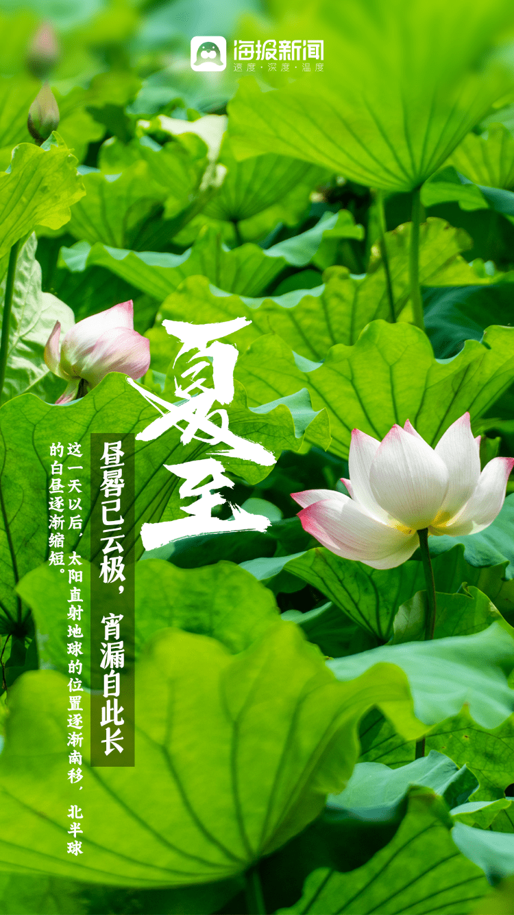 今日夏至|时夏方长,盛夏将至