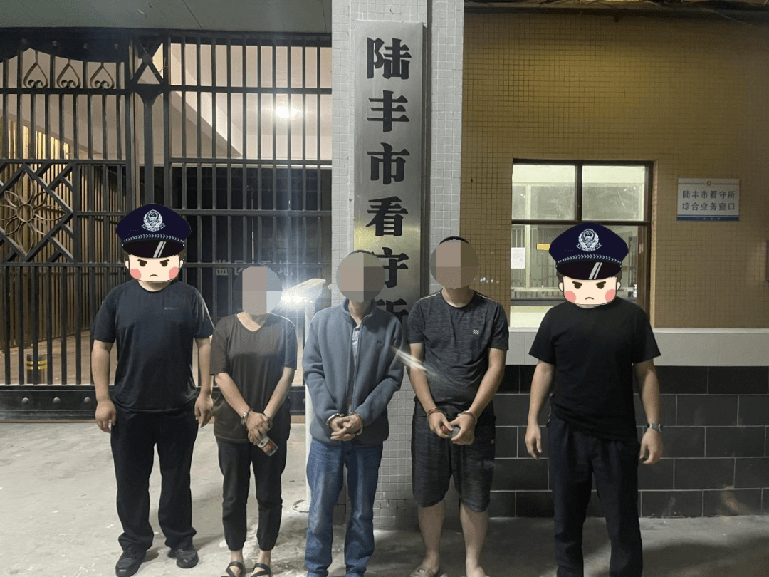 抓了12人._陆丰_案件_公安