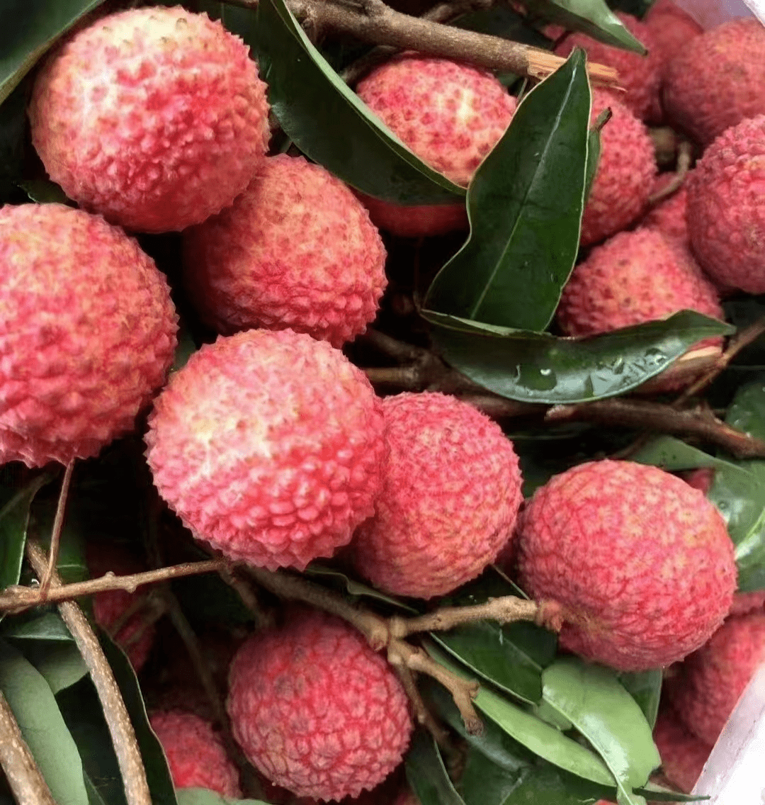 贺州人注意!这种水果大量上市,但千万别多吃,严重可致.