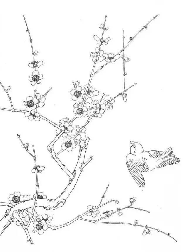 工笔梅花10种设色图例,精彩!_步骤_花瓣_白粉
