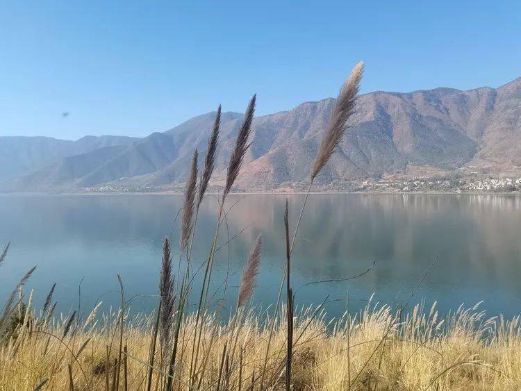 极目程海湖面,白鹭惊飞,天空渐与烟波相逝,黄鸭