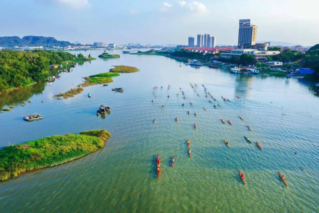 "金沙户外杯"单人龙舟赛来了!_南海区_运动_丹灶镇