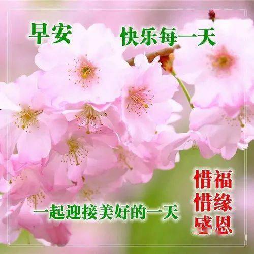 新款早上好图片大全，今天早上好图片最新-早上好的新图片大全动态
