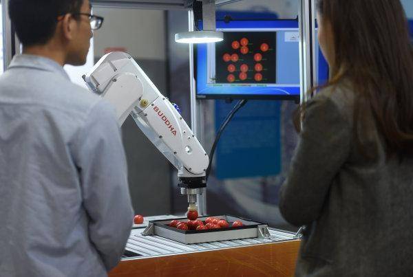 米乐 M6「深读」应届博士年薪80万元AI行业工作真这么好找吗(图2)