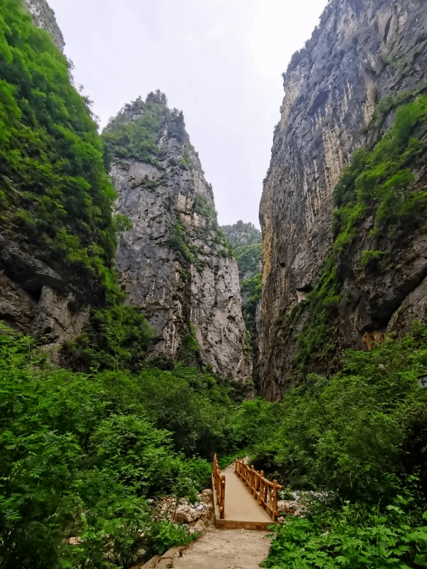 【丝路印象】你想要的多彩夏日,都藏在定西这些山里!_景区_漳县_票价