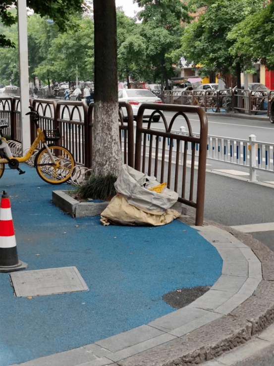 钱塘不文明现象曝光台 ⑭ | 6号大街,19号大街,学林街......这些不