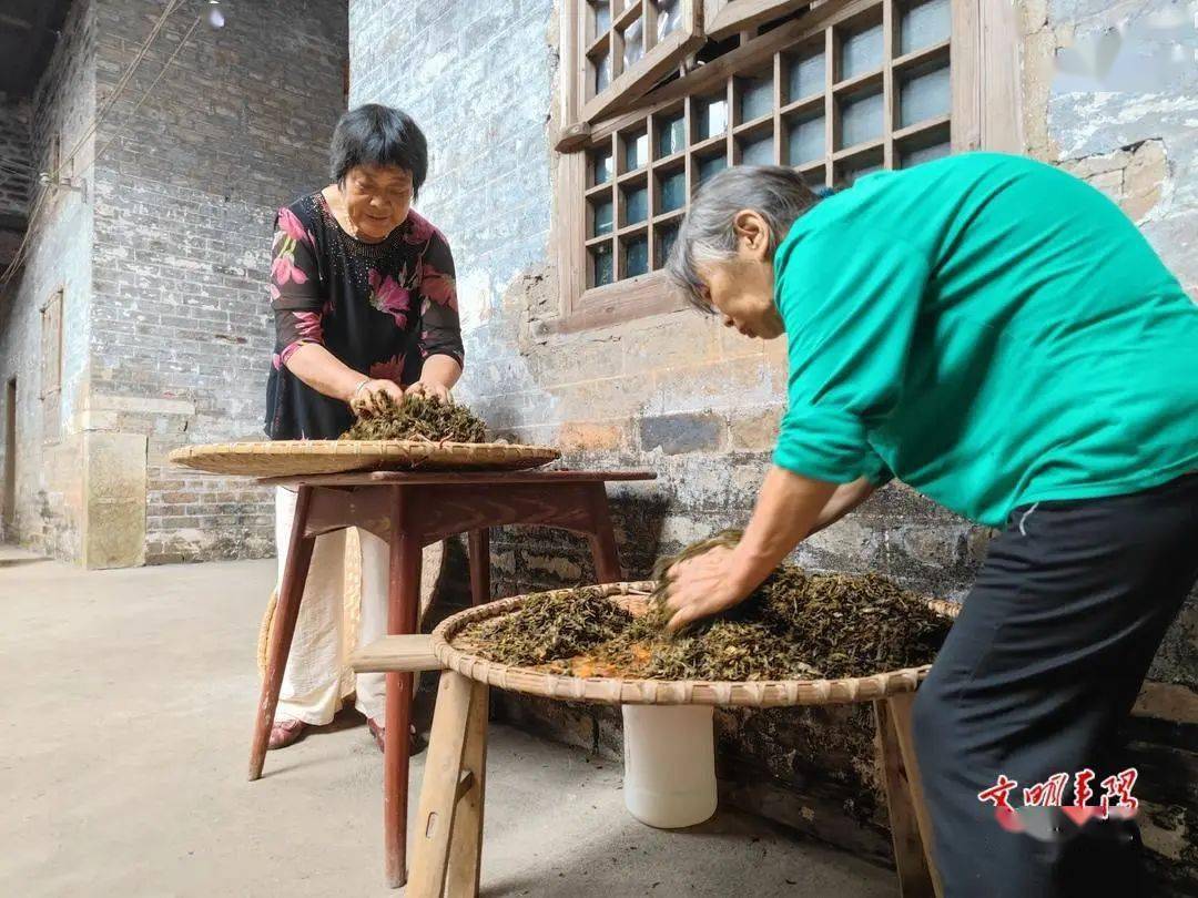 午时茶制作方法图片