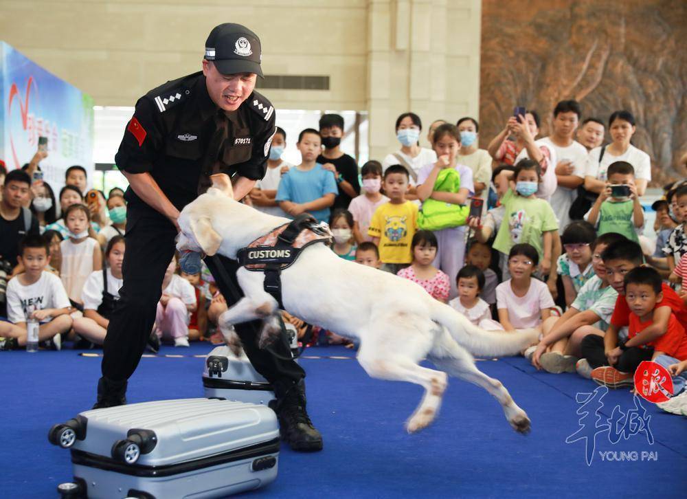 “明星犬”献上“禁毒课”！拱北海关举办禁毒宣传暨缉毒犬开放日活动_毒品_表演_游戏