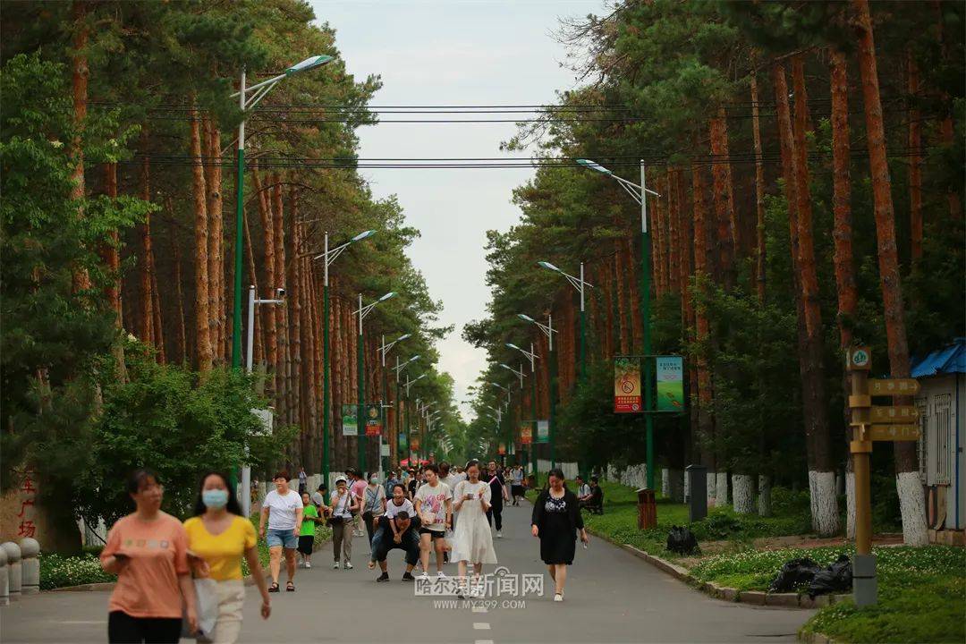 广州三大助孕机构（植物园 赏花）植物园过年免费，