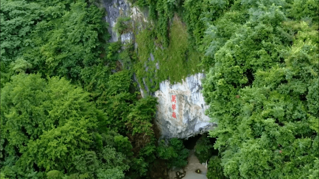 初,高中毕业生免门票!来万华岩"清凉一夏"_游客_景区_岩溶洞