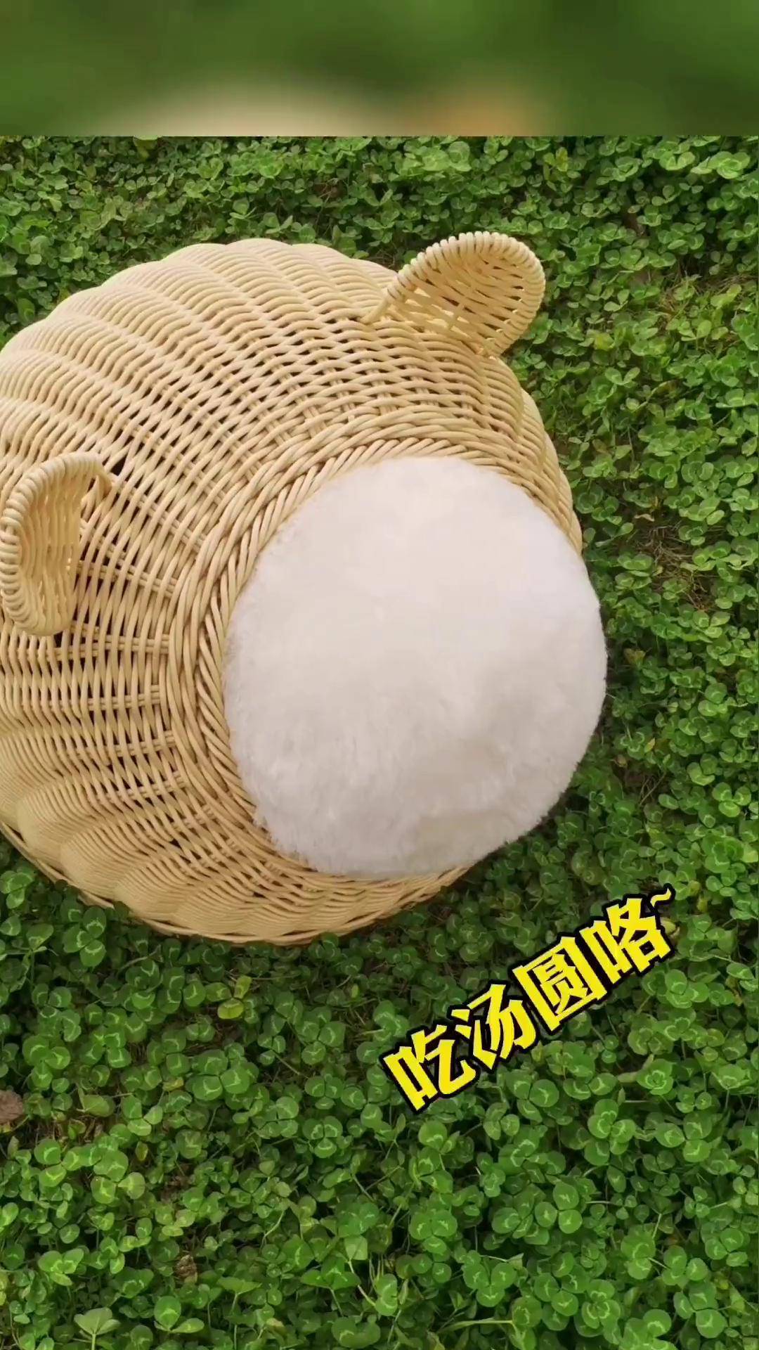 国宝大熊猫西柚熊猫 咦!这汤圆居然还会动?