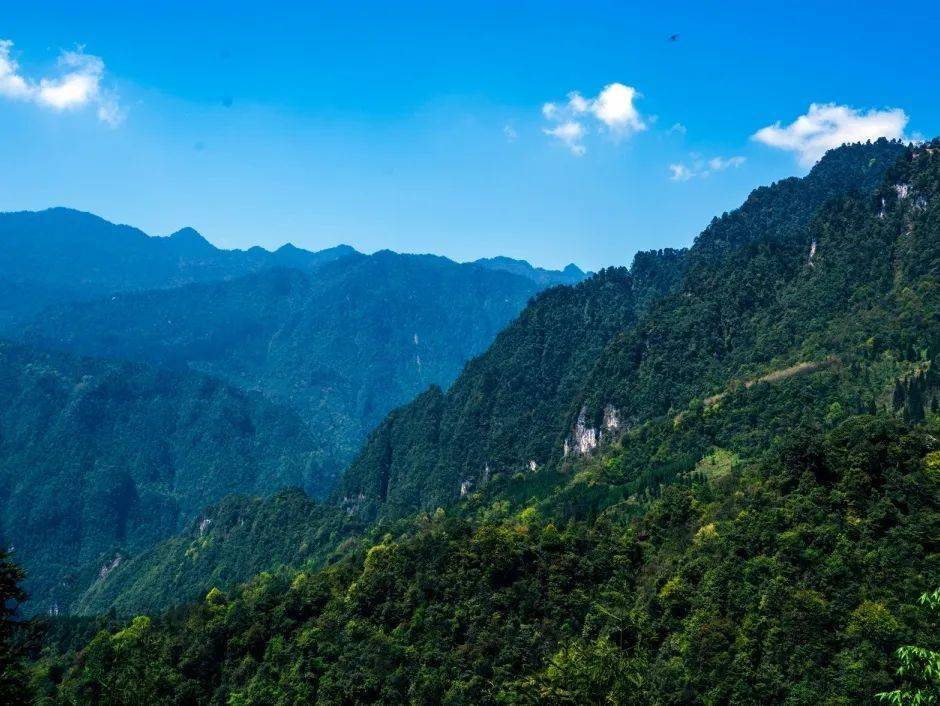 邛崃宝珠山图片