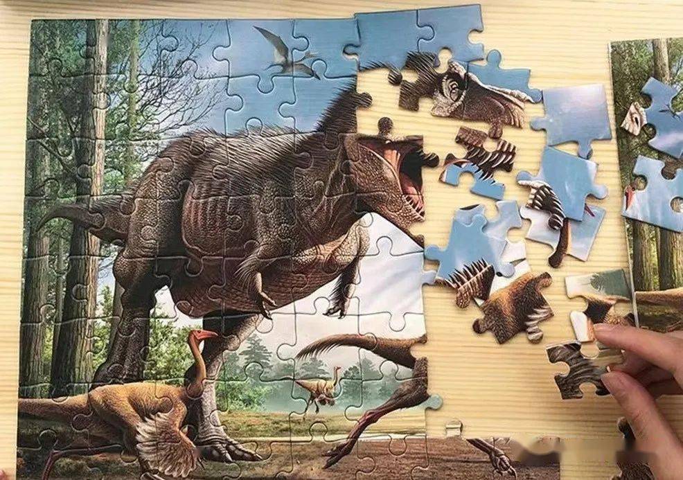 暑期玩转赏石园"恐龙嘉年华"来袭!_中华_化石_石头