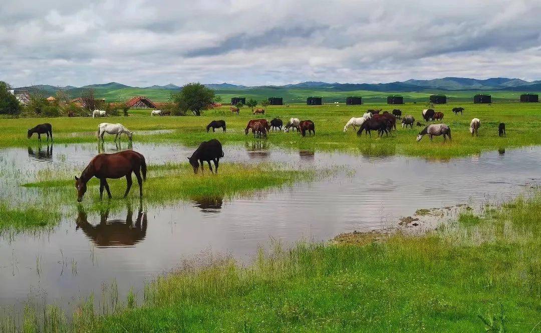 端午出行旅游打卡秘境玛曲_游客_景区_阿万仓