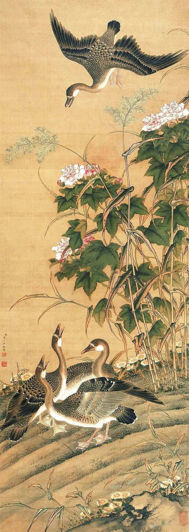 清代邹氏最著名的画家之一:邹一桂工笔花鸟画作品欣赏_花卉_礼部_乾隆