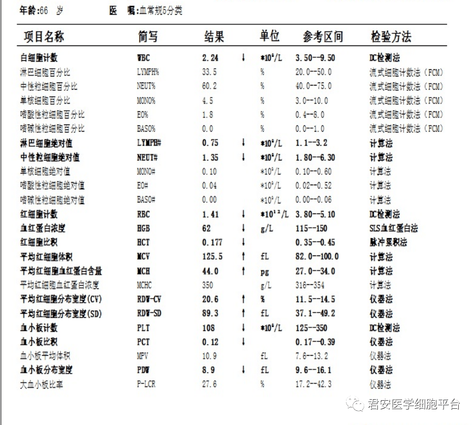 外周血涂片报告图片