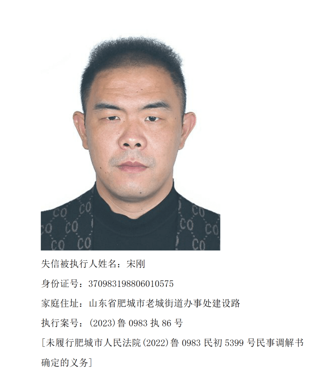 肥城市人民法院2023年第二批失信被执行人名单_信用_义务_保护