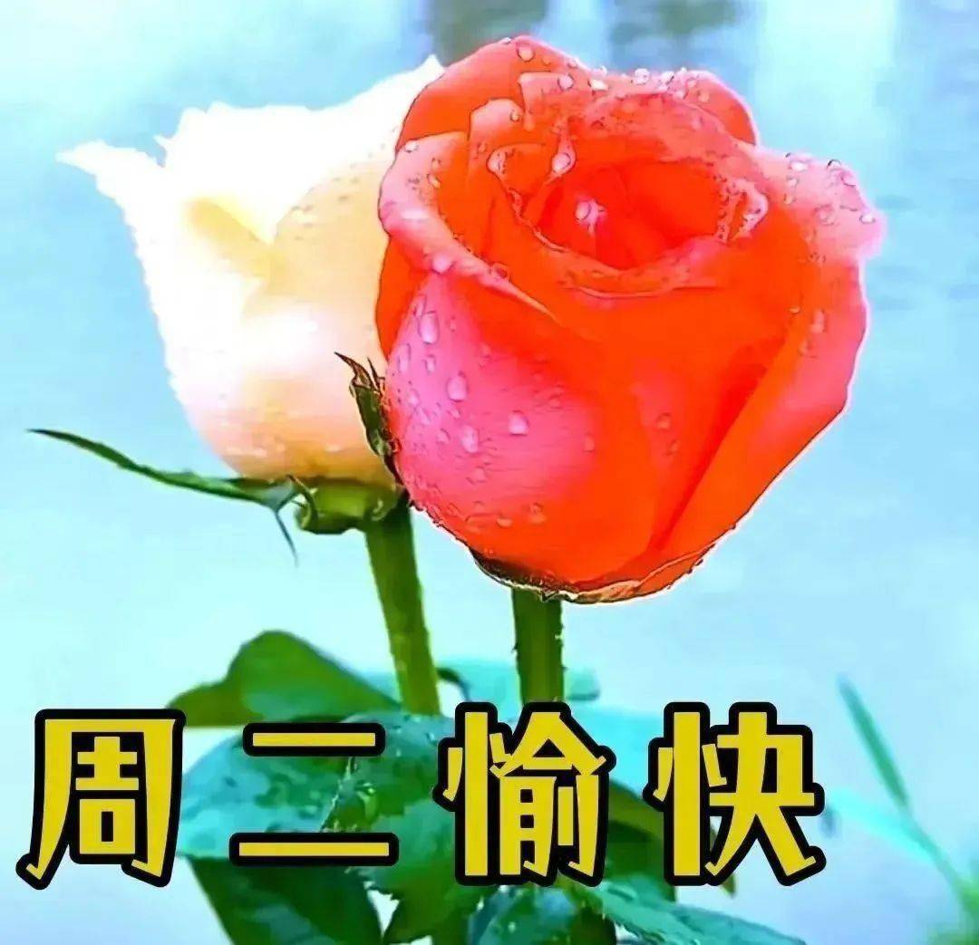 最新早上好祝福问候语精选，早上好暖心祝福问候语（早上好问候语温馨简短）