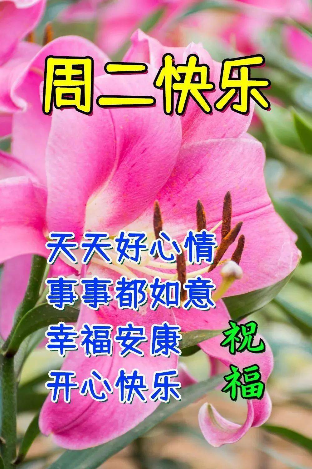最新早上好祝福问候语精选，早上好暖心祝福问候语（早上好问候语温馨简短）