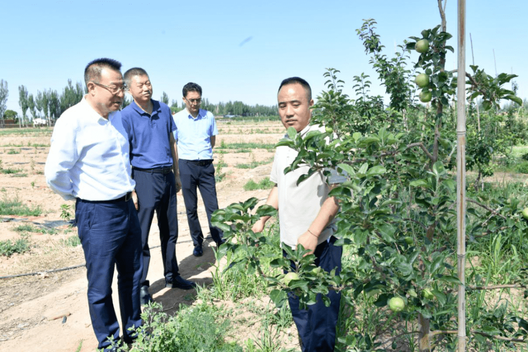 解决难题促发展——常晋宏赴青铜峡市,红寺堡区调研侧记_企业_乡村