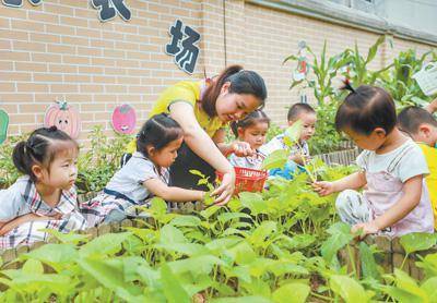 乐鱼体育官网在线：乐鱼体育官方网站：合理膳食 吃出健康（健康焦点）(图1)