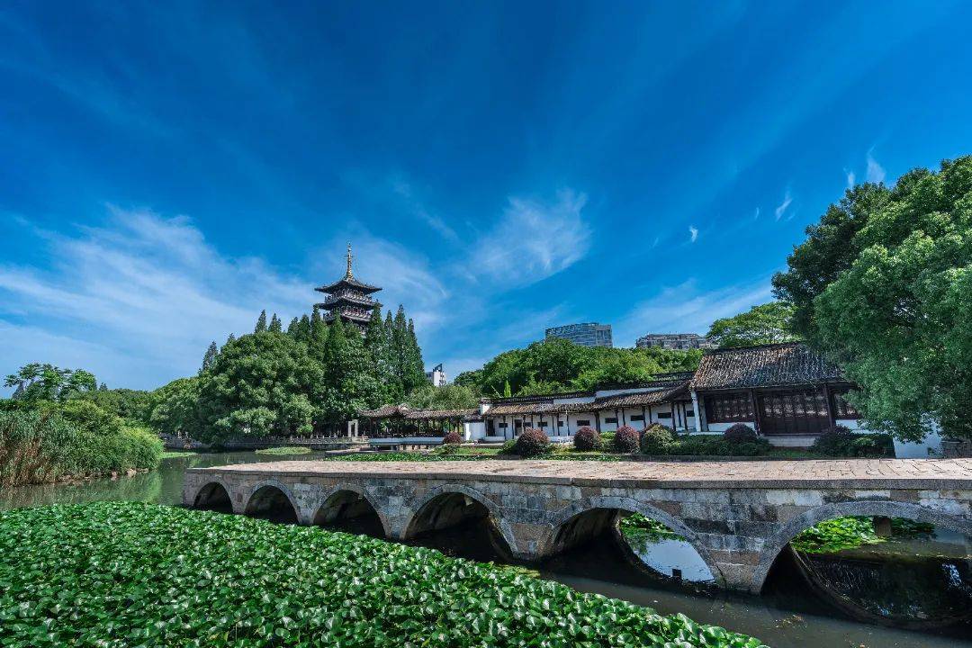 杨迪,张凌赫,还有……_虹桥_公园_湿地