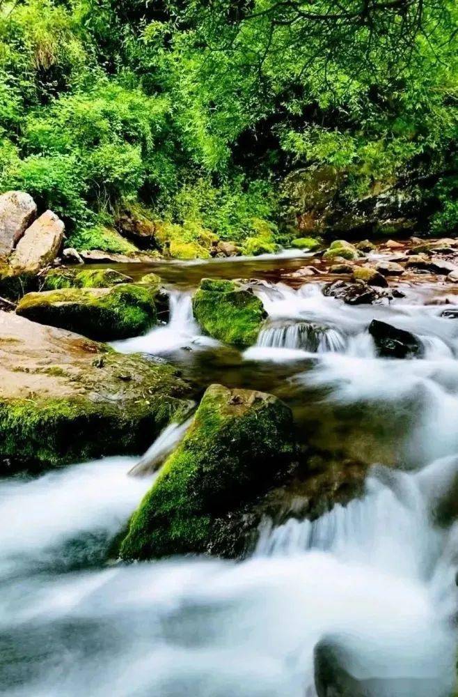 【避暑胜地六盘山】塞上小九寨 醉美小南川 遇见18℃的夏天 探寻丝绸