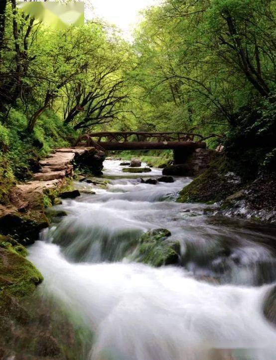 六盘山小南川图片