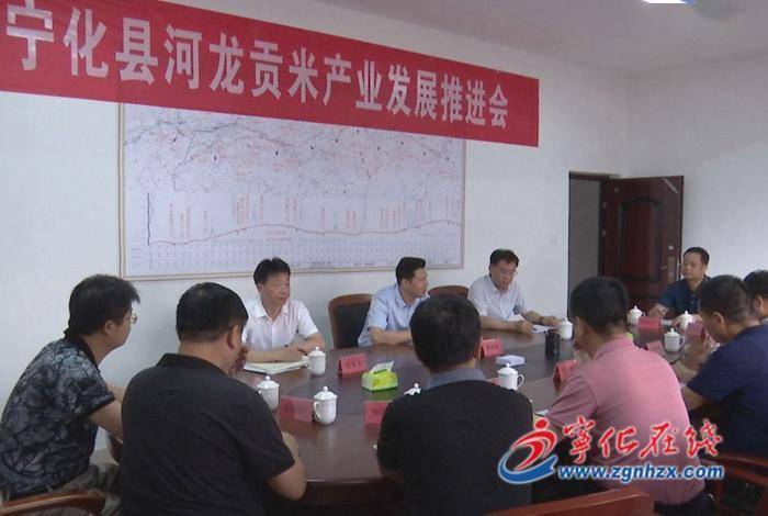 宁化县河龙贡米协会揭牌_种植_产业_发展