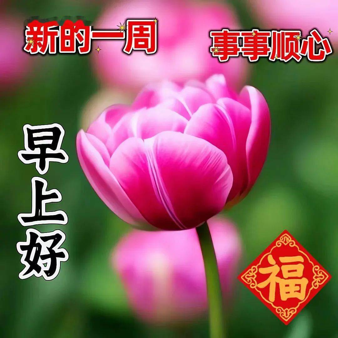 早上好图片漂亮祝福,时时牵挂,情谊最真