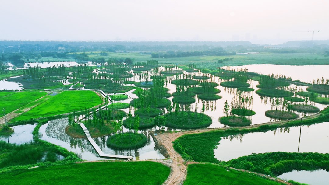 这场半程马拉松在大泽湖开跑_望城区_湘江_建设