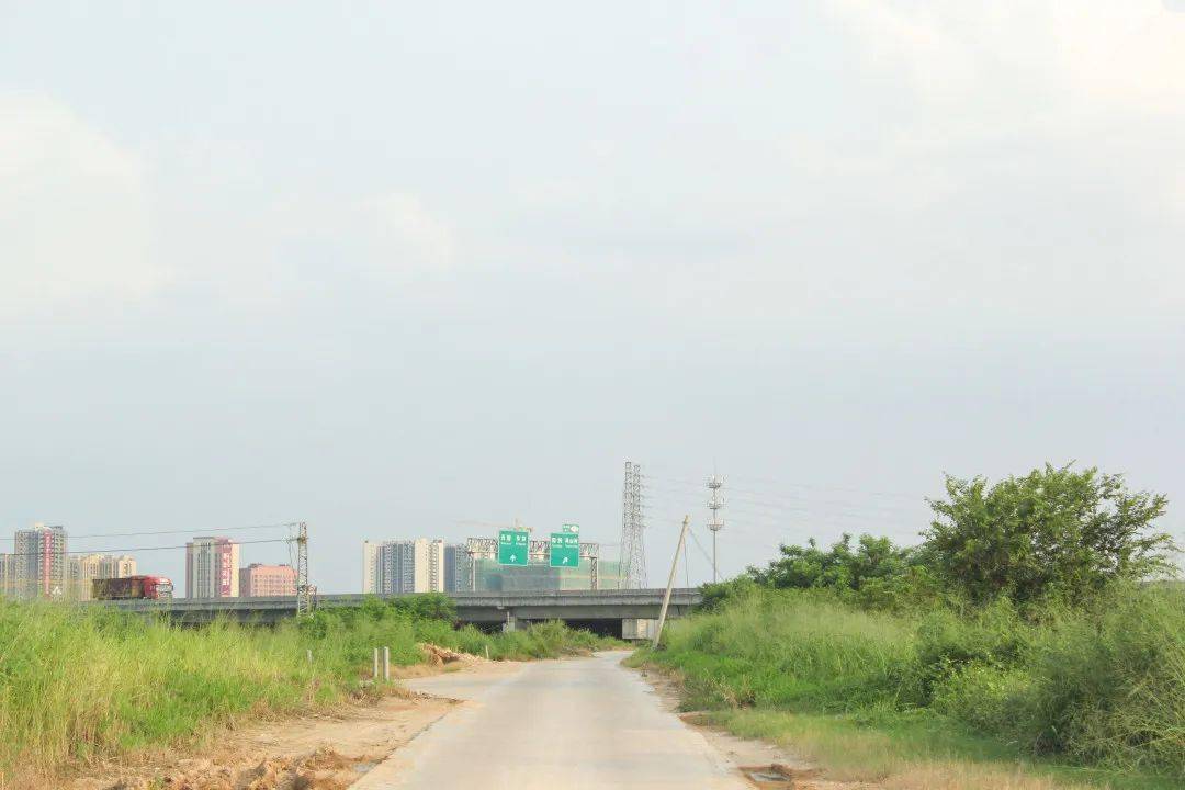 园洲九潭这条捷径现可通行,仍需注意.