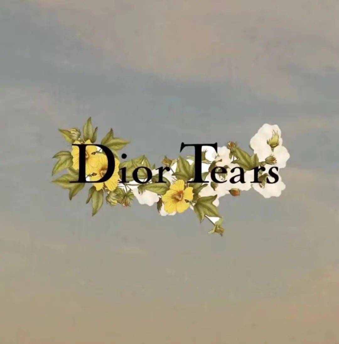 Dior Tears系列本月上架，木棉花合作款B33球鞋公布！_手机搜狐网