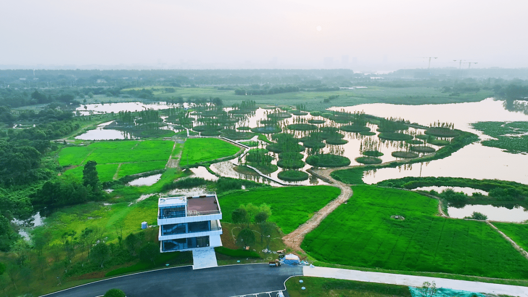 这场半程马拉松在大泽湖开跑_望城区_湘江_建设