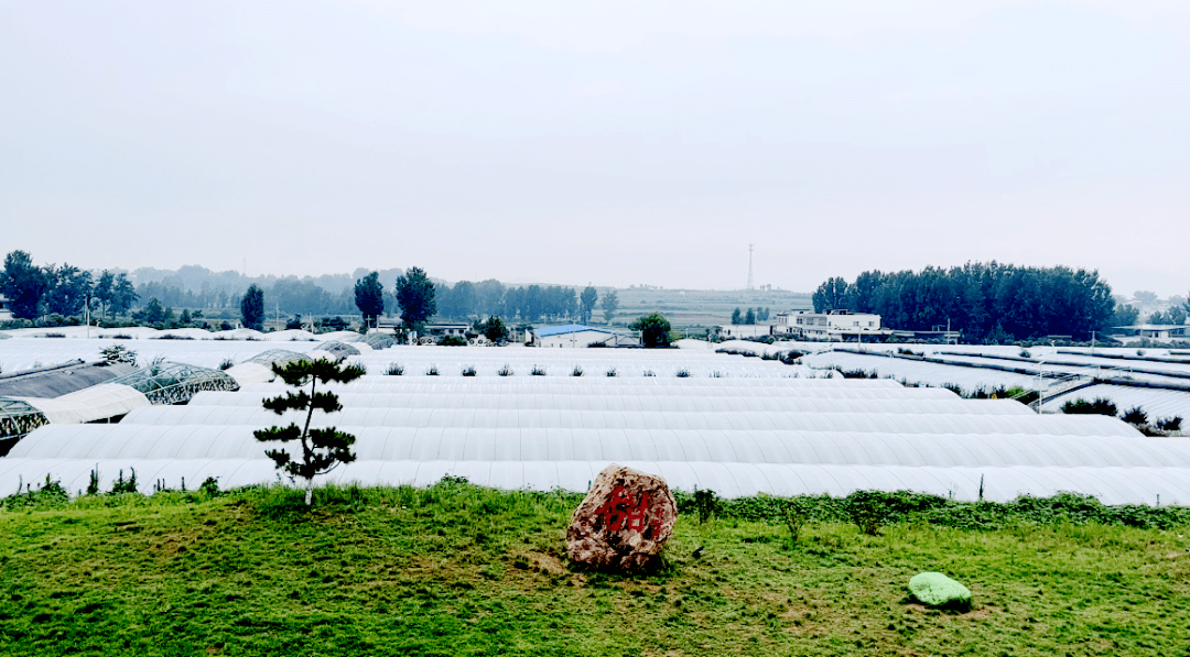 会上,小店镇相关负责人介绍了"七彩田园"综合体乡村运营项目的规划和