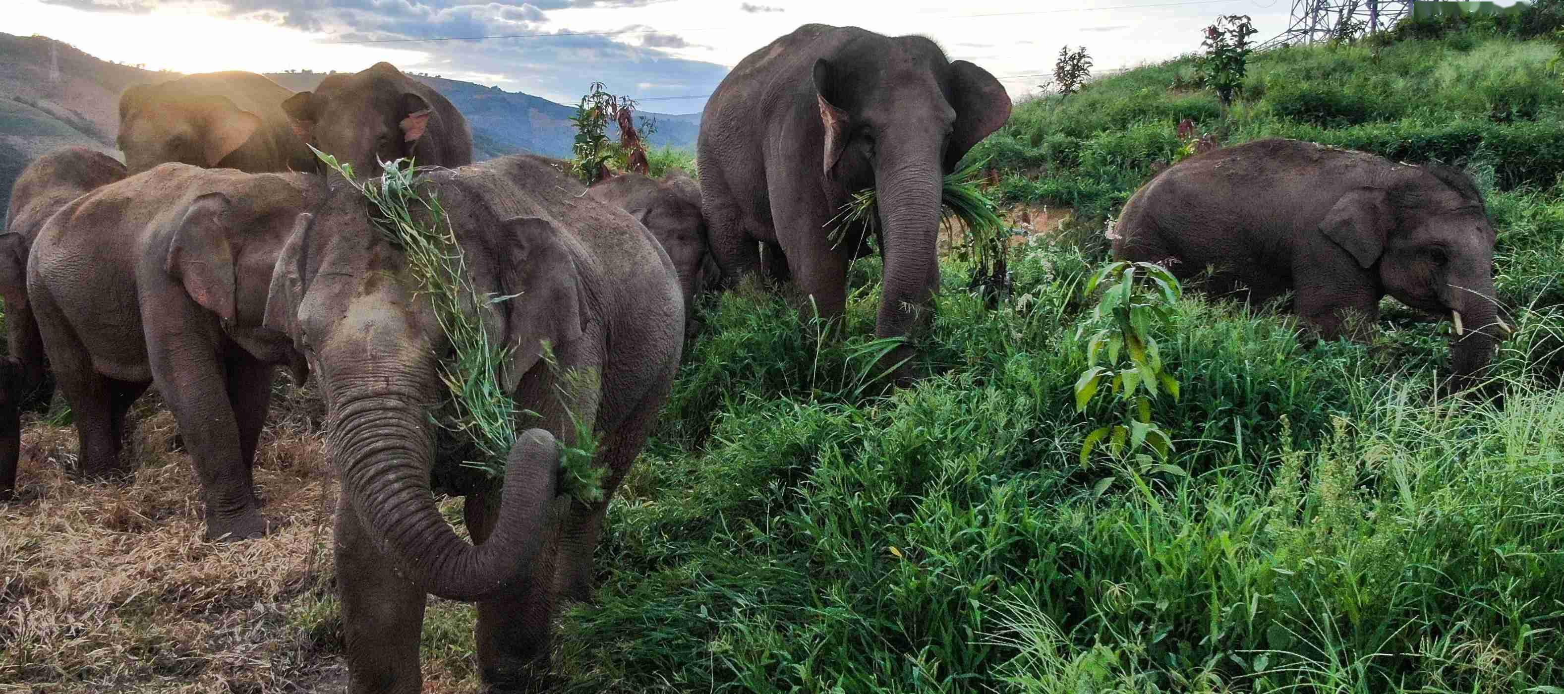 纽约和泉州——2023年7月3日——imax03公司(纽交所:imax),蓝蚁传媒