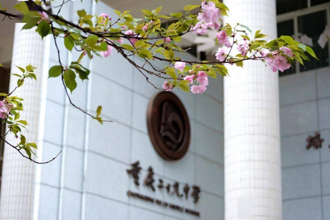 重庆二十九中typhoon花样跳绳队首战市赛,斩获5金6银2铜!