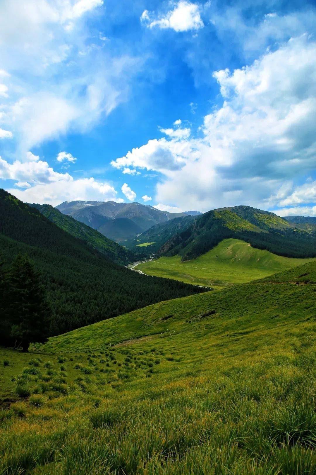 武威祁连山风景区图片