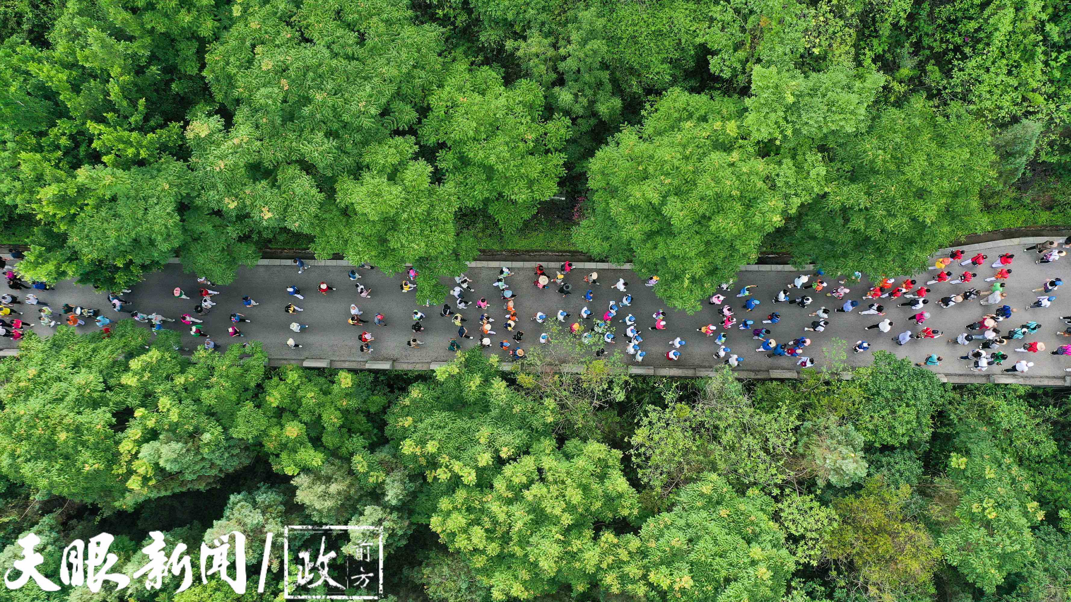 游客在兴义市万峰林纳录花海观赏游玩.