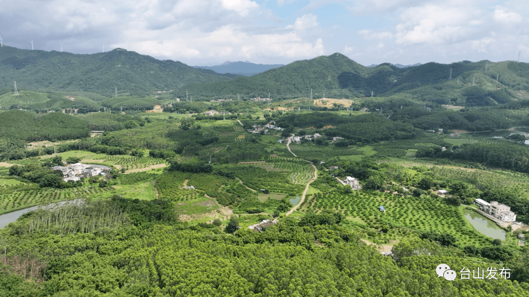 茶饮店负责人甄毓豪:台山的香水柠檬在广东甚至全国都比较出名,我们