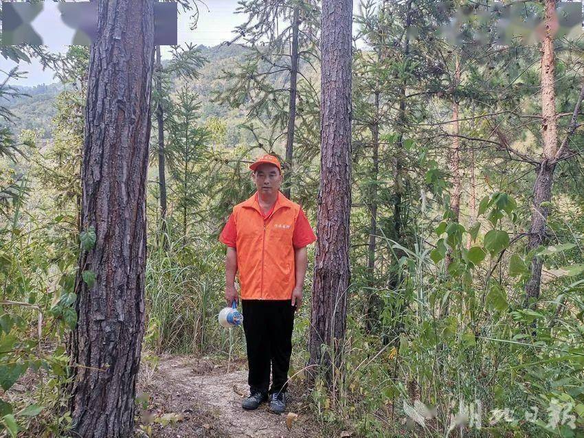 竹溪有位生态护林员……_谢传志_巡山_林业
