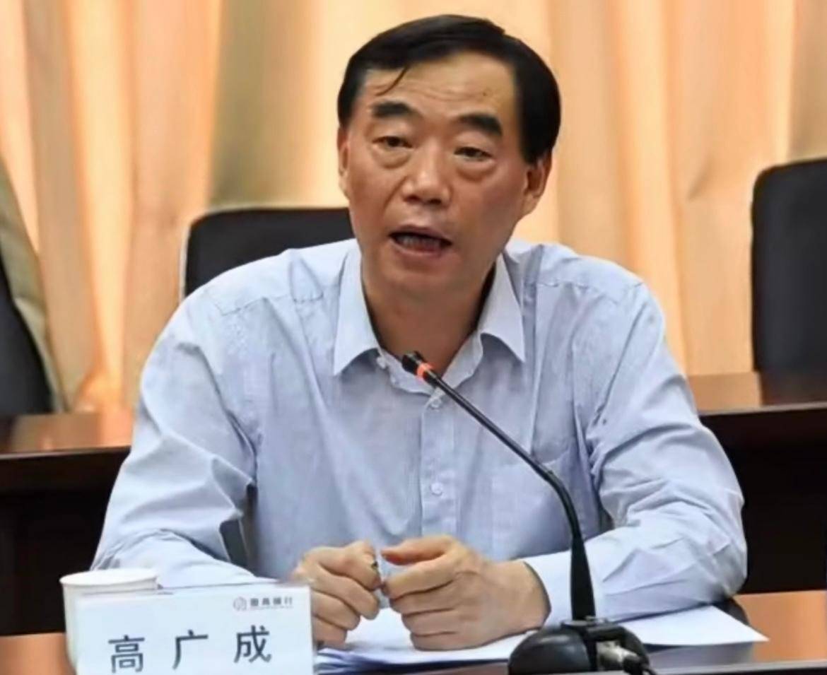 家庭巨额财产来源不明,他被“双开”_高广成_安徽省_严重