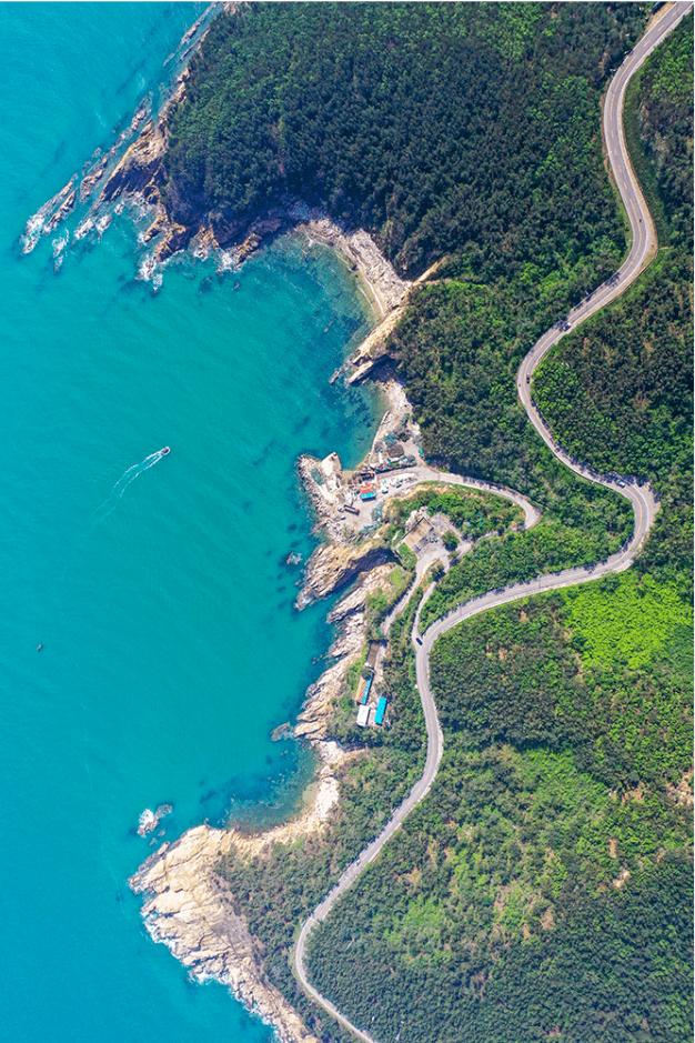 环海路风景线图片