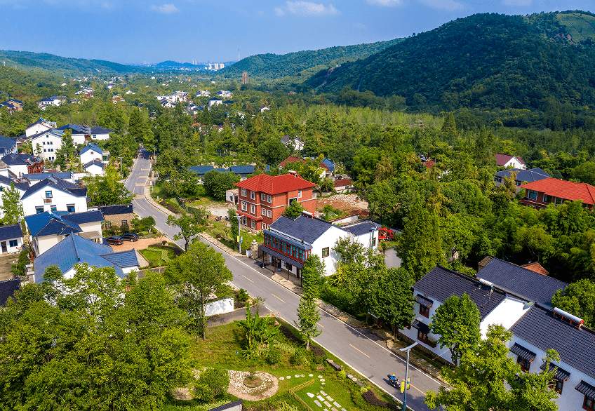 看湖州如何从"乡村康庄工程"到"四好农村路"建设全域开花_公路_柏线