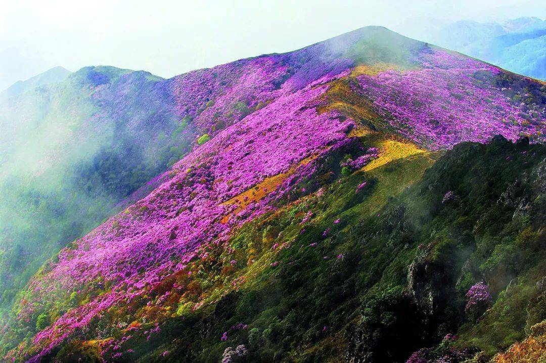 【历史文化】千载风光 迷易八景‖李吉顺